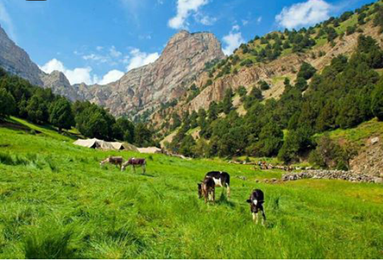 رشته کوه هزار مسجد خراسان