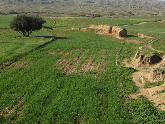 روستای دشت بزرگ گتوند