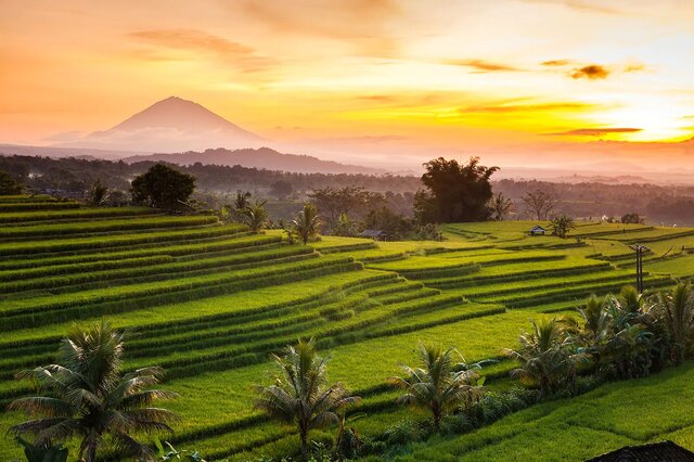 بالی، معروف به جزیره خدایان