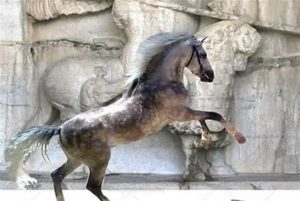 پرونده ثبت جهانی اسب کُرد به‌صورت “بین‌المللی” تکمیل می‌شود