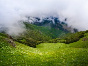 دراسله، بوم نقاشی خداوند